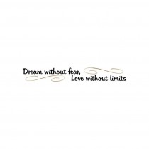 Dream Without Fear (Metallic)